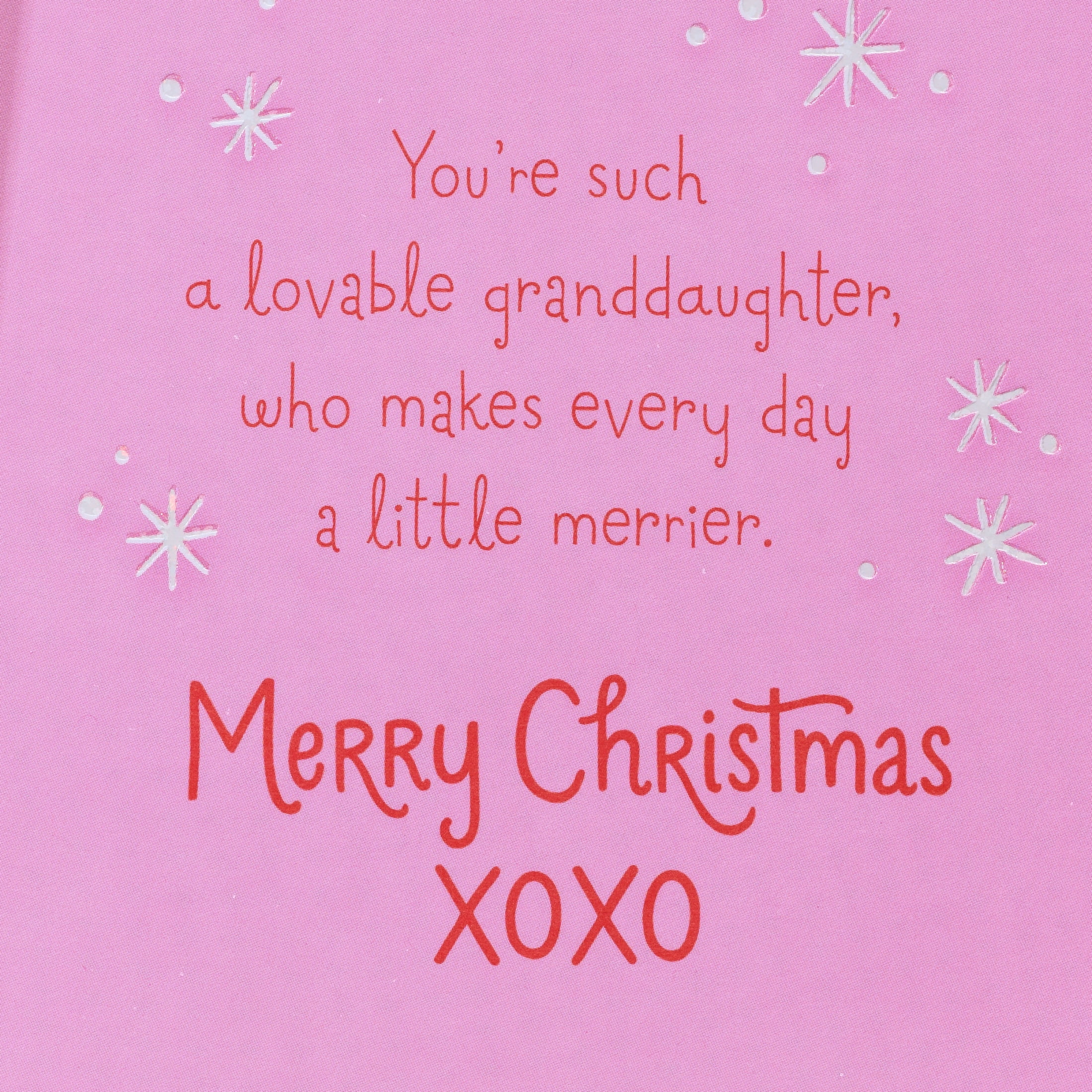 American Greetings Christmas Card for Granddaughter (Christmas Pun Stickers)