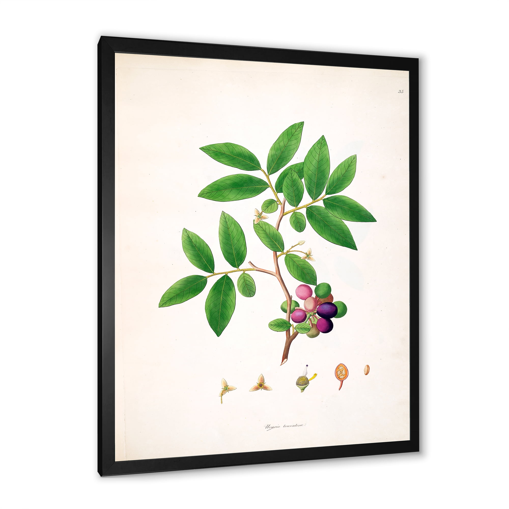 Designart 'Ancient London Plants XI' Farmhouse Framed Art Print