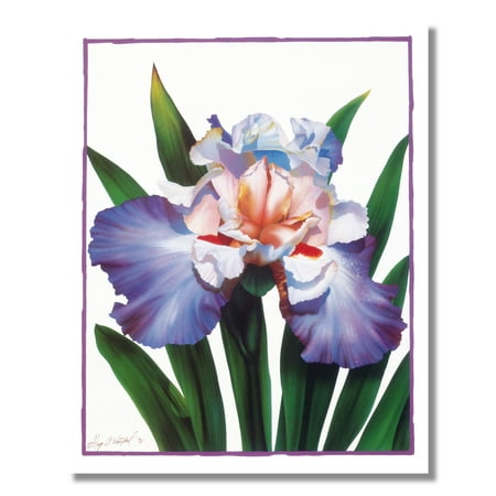 - Iris Flower Floral Arrangement Wall Picture 8x10 Art Print