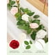 thumbnail image 2 of Rosas artificiales de espuma InnoGear, color blanco marfil, 50 unidades, 2 of 8