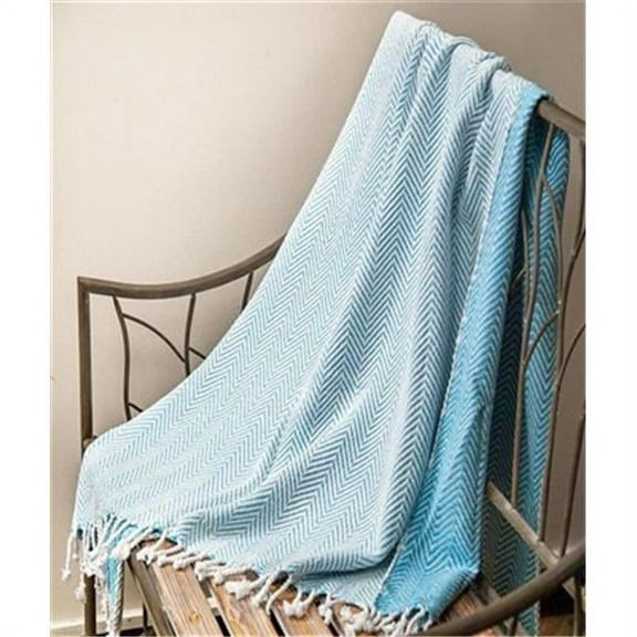 Manual Woodworkers & Weavers AIELAQ 50 x 60 in. Cotton Throw, Chevron Aquamarine