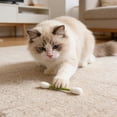 thumbnail image 4 of Swabs Cat Toys With Catnip - 6 Pk | Durable For Chew, Cute Cat Toys Interactive Kitty For Boredom, Exercise, & Play | Filled W/Organic Catnip For Anxiety & As Digestive Aid | Gift Idea, 4 of 9