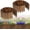 6.6ft-2pcs, variant on Wooden Garden Edging - 13.1ft x 11.8in Pine Landscape Border, Flexible Weather-Resistant Fences for Decorate Spring Outdoor Patio Yard Lawn Flower Beds