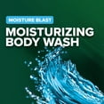 thumbnail image 6 of Irish Spring Moisture Blast Men's Face & Body Wash Pump, Moisturizing Body Wash - 32 fl oz., 6 of 9