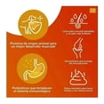 thumbnail image 3 of CARNE FRESCA FORCE 20 KG + Nupec Treats Training 180 Grs., 3 of 5
