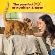 Meow Mix Original Choice Dry Cat Food, 22 lb Bag