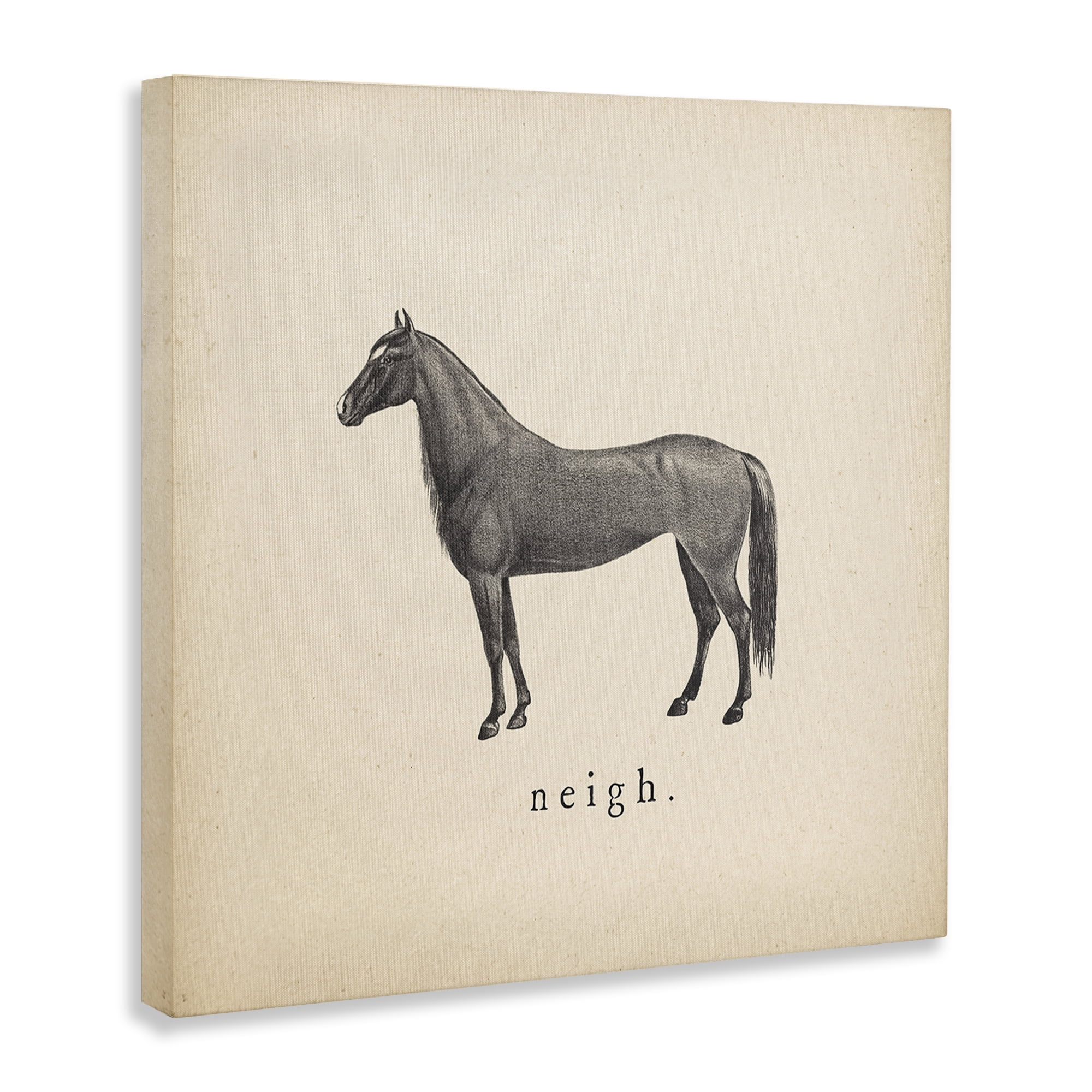 Stupell Industries Neigh Farm Horse Sounds Animals Painting Wrapped Canvas Art Print Wall Art, 17 x 17