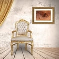 thumbnail image 3 of Jones, Adam 32x23 Gold Ornate Wood Framed with Double Matting Museum Art Print Titled - Pattern in wood of Bristlecone pine-White Mountains-Inyo National Forest-California, 3 of 4