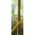 thumbnail image 2 of Haggenmacher, Maritta 14x32 White Modern Wood Framed Museum Art Print Titled - Rainforest I, 2 of 4