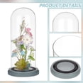 thumbnail image 5 of 1pc Glass Dome Cover Decorative Display Case Cloche Bell Jar Terrarium with Wood Base Clear 125x263mm, 5 of 6