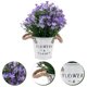 thumbnail image 1 of Nestingho 1Ud Imitation Potted Plant Lifelike En Violeta Para Ambientar Espacios Interiores, 1 of 6