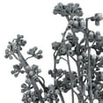 thumbnail image 2 of Vickerman Natural Botanicals 13" x 1-3" Red Gum Branch Gray Frosted, 14 stems per unit, 2 of 6