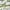 Other, variant on PERFEMET 100% Cotton Green Leaves Birds Print 1000 Thread Count Pillow Cases, Queen (2 Count)