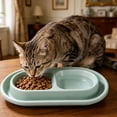thumbnail image 6 of Cat Bowl with Moat Double Feeding Bowls for Cats and Small Dogs, 10.6 Inch Water and Food Dish Set, Anti-Ants Pet Feeder, Space-Saving Indoor Outdoor Use, 6 of 8
