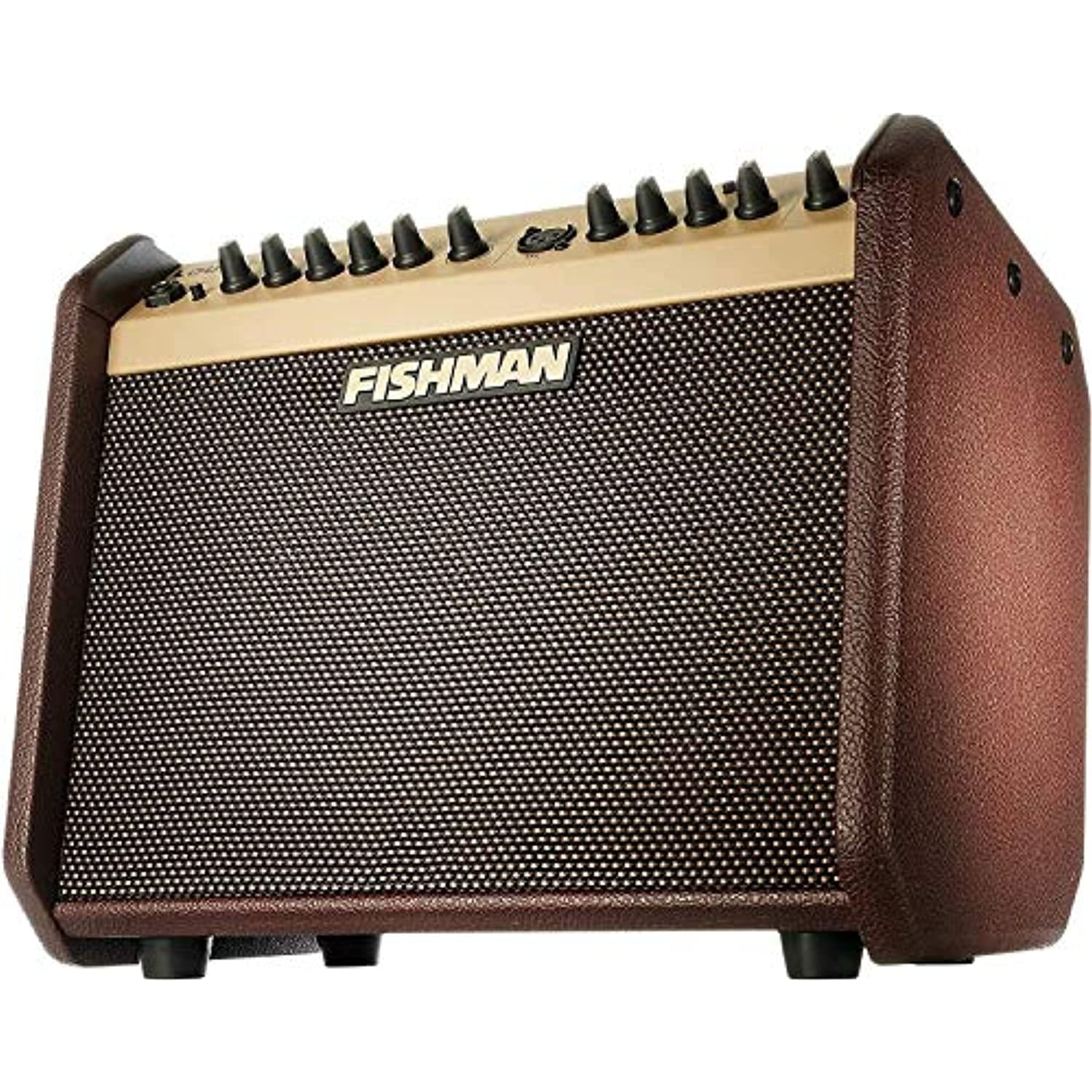 Fishman Loudbox Mini Bluetooth Amp | Walmart Canada