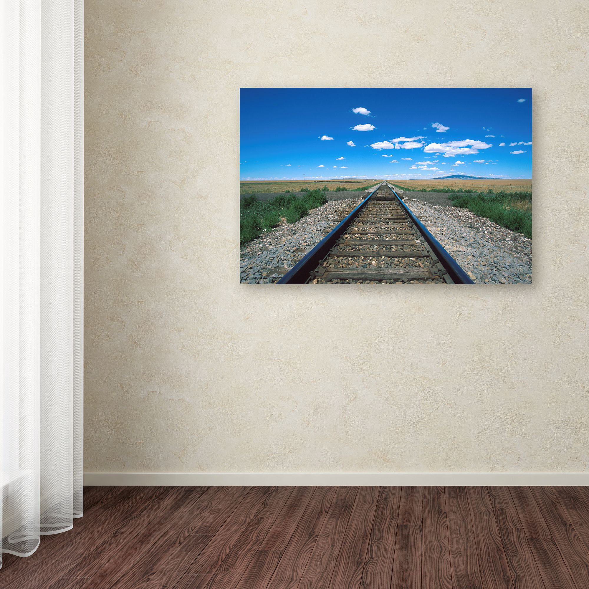 Trademark Fine Art 'Texas Tracks 2' Canvas Art by Robert K Jones
