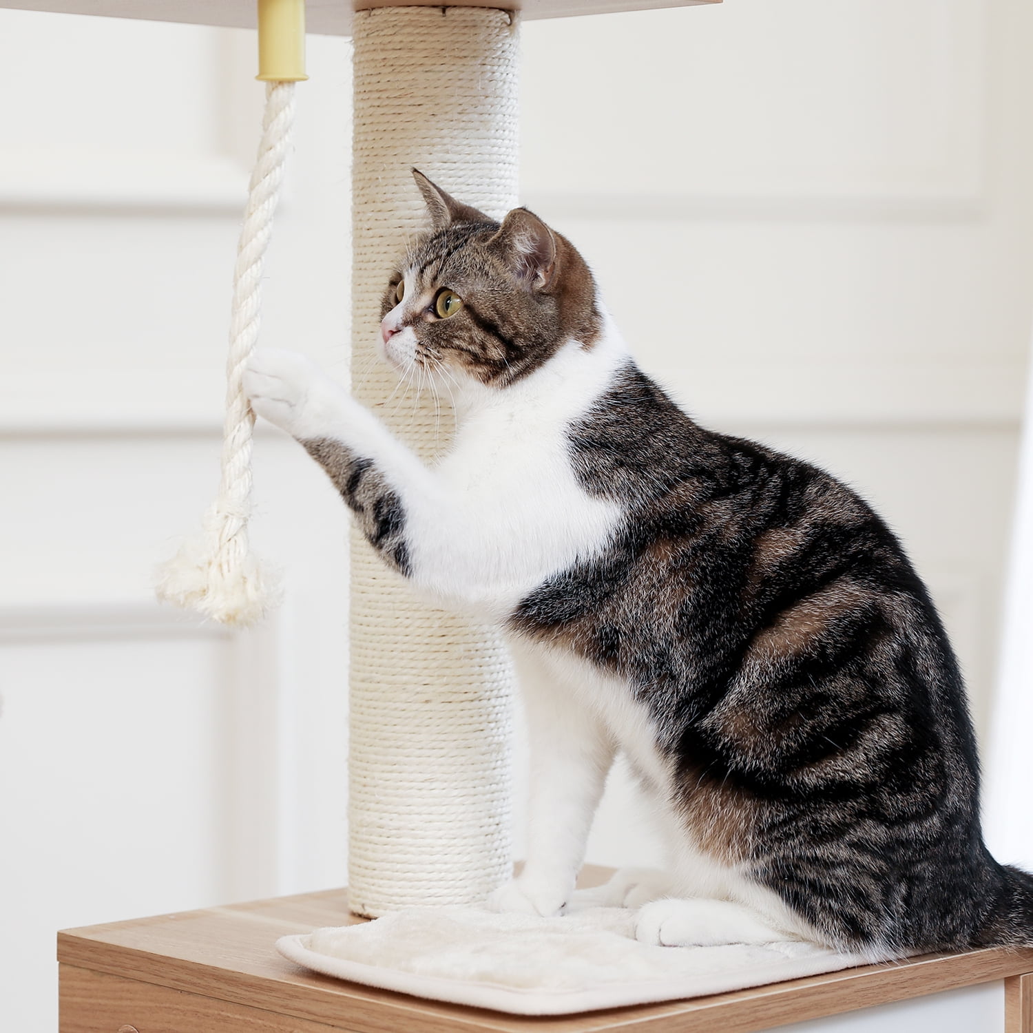 Pefilos 64" Wood Cat Tree Tower for Indoor Cats, Multi-Level Cat Condos for Big Cats with Scratching Posts, Beige Pefilos 64" Wood Cat Tree Tower for Indoor Cats, Multi-Level Cat Condos for Big Cats with Scratching Posts, Beige