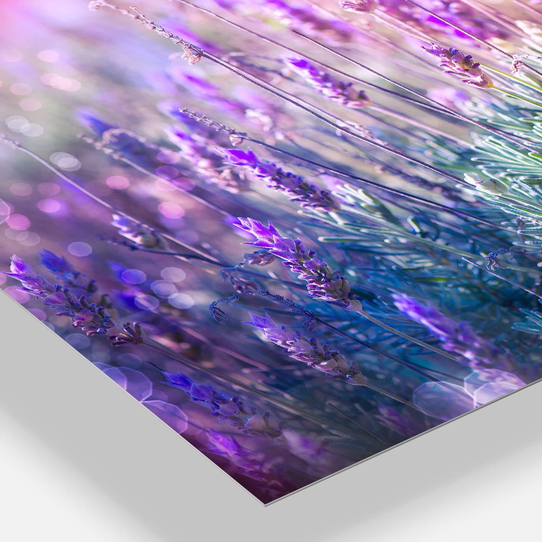 Designart 'Growing and Blooming Lavender ' Multipanel Floral Metal Wall Art