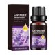 thumbnail image 3 of Xihbxyly Aceite de Aromaterapia Natural, Esencia de Lavanda para Aliviar El Estrés, Ingredientes Puros para Humidificador, Tamaño Compacto para Viajes, Regalo Perfecto para Cualquier Ocasión, Mejora, 3 of 7