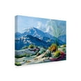 thumbnail image 2 of Trademark Fine Art 'Desert Serenade' Canvas Art by Carolyne Hawley, 2 of 4