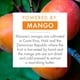 thumbnail image 5 of Acondicionador nutritivo Klorane con mantequilla de mango, hidrata e hidrata el cabello seco, parabeno, silicona, sin sulfato, 6.7 fl.oz., 5 of 6