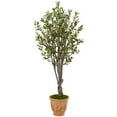 thumbnail image 2 of Nearly Natural 5’ Olive Artificial Tree in Terracotta Planter, 2 of 2