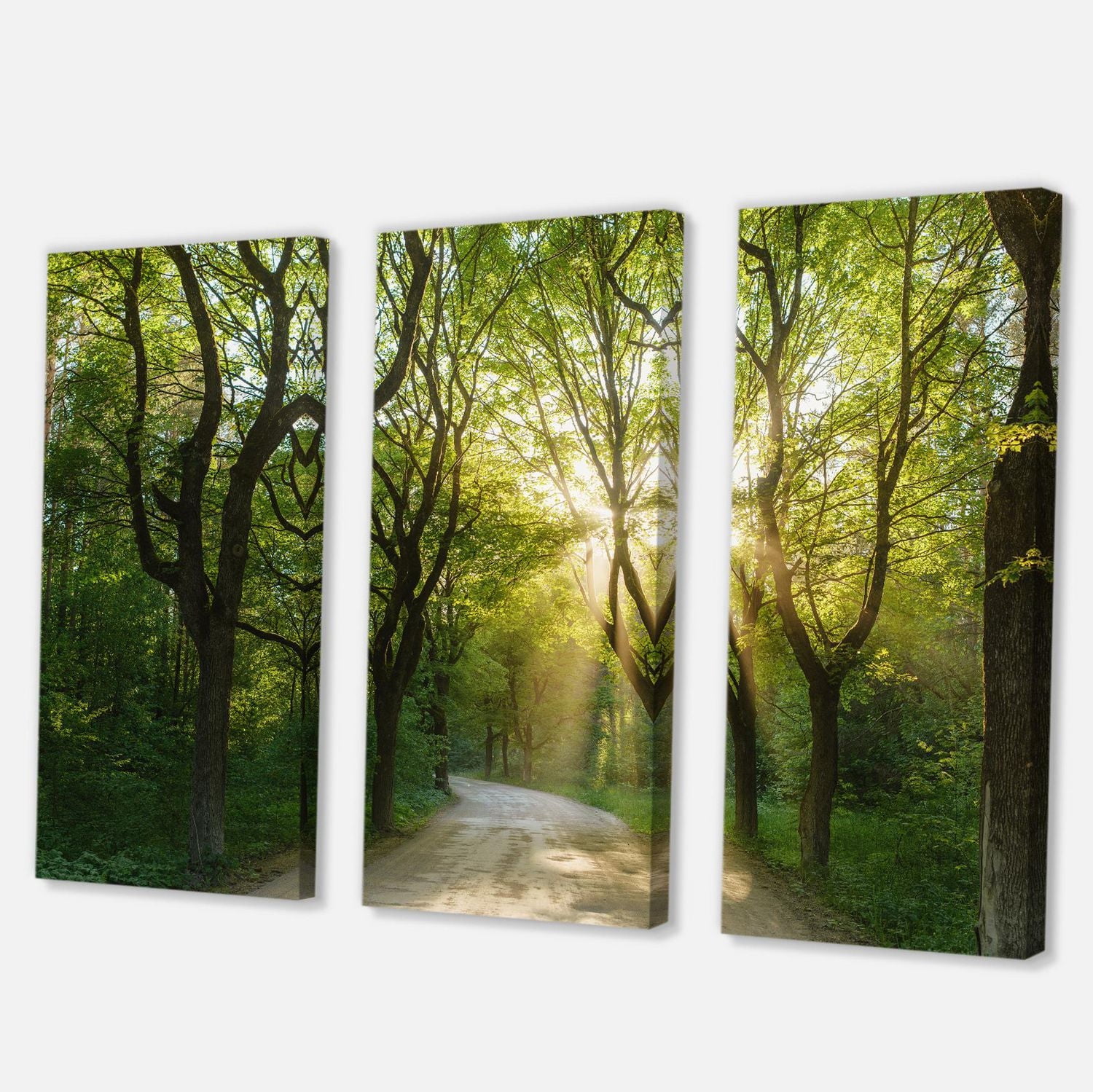 Designart Evening in Green Forest Canvas Wall Art