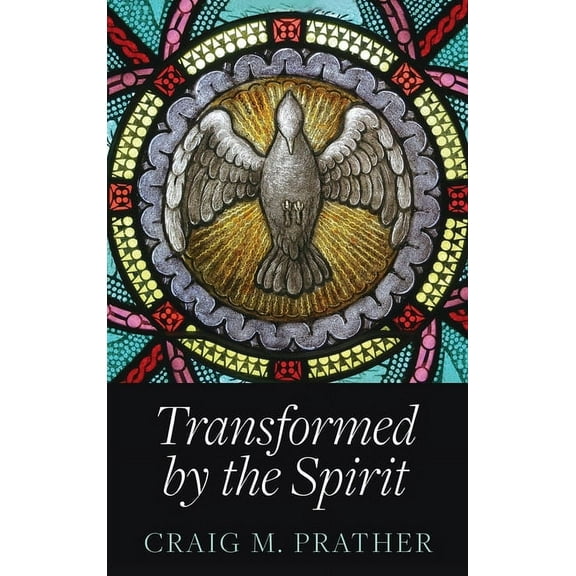 Transformed by the Spirit: A Modern Journey into Spiritual Formation, (Hardcover)