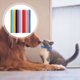 thumbnail image 4 of Bandas de identificación ajustables para cachorros en 12 colores, collares para cachorros durante el parto, colores surtidos, 4 of 7