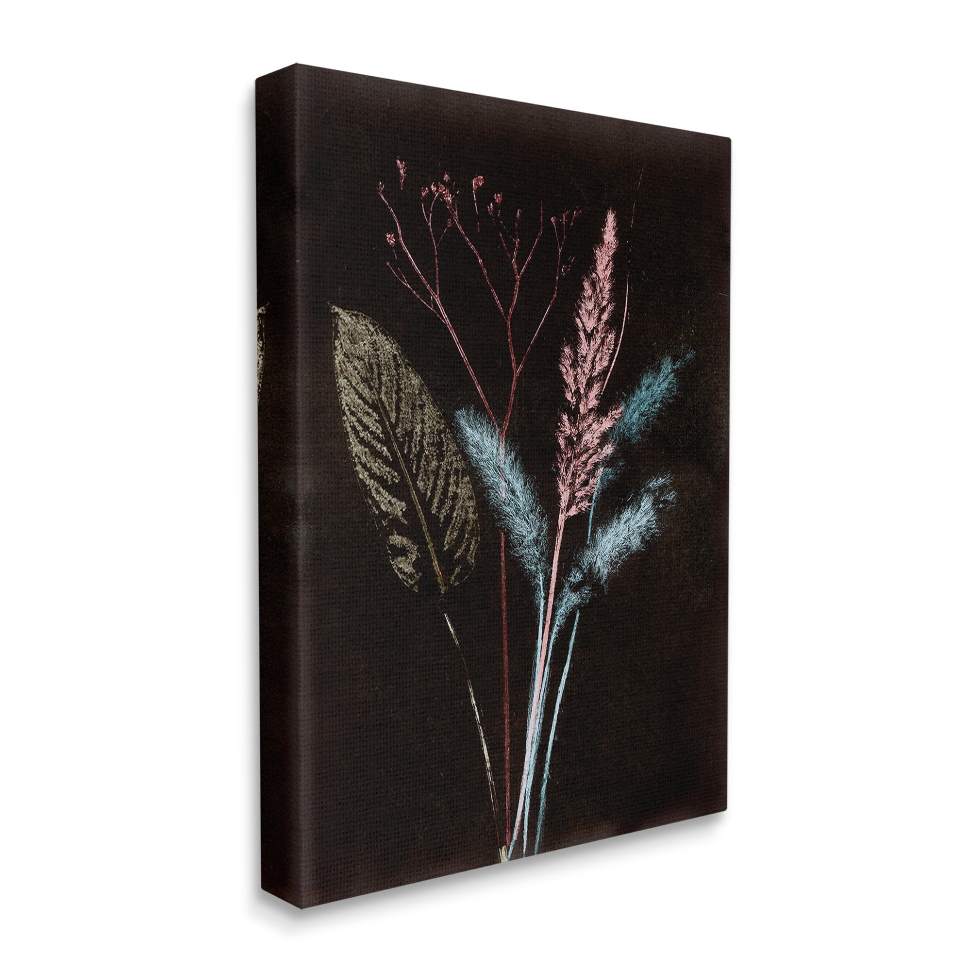 Stupell Industries Country Reeds Impressions Botanical & Floral Painting Gallery Wrapped Canvas Art Print Wall Art, 16 x 20
