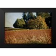 thumbnail image 2 of Crane, Rita 18x13 Black Modern Framed Museum Art Print Titled - Vineyard Tapestry II, 2 of 5