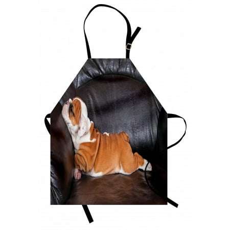 

English Bulldog Apron Puppy Resting on a Sofa Funny Animal Photography Cute Canine Unisex Kitchen Bib Apron with Adjustable Neck for Cooking Baking Gardening Seal Brown White Brown by Ambesonne