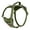 Green 3, variant on Halti Anatomy Dog Harness