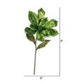 thumbnail image 2 of Vickerman OF160713 Tige de Fleur de Magnolia à la Chaux&44; 22 & 9 Po., 2 of 3