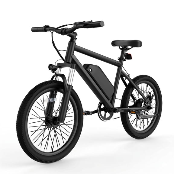 20” Adult Electric Bike, 250W Motor, 19 MPH Max Speed, 48V 5.2Ah Removable Battery, LCD Display, Compact E-Bike, UL2849 Certified,Black