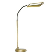 DAYLIGHT24 Floor Standing Magnifying Glass with Light and Stand - Gold