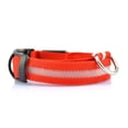 thumbnail image 1 of CAROOTU LED Pet Safety Collar - Keep Your Pet in Sight at Night LED Luminous Night Polyester Safety LED Light for Dog, 1 of 6