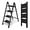Black, variant on 2 Step Ladder, Lightweight Portable 2 Step Stool with Anti-Slip Wide Pedal,330lbs Capacity Aluminum Ladder for Household,Office,Library(Silver)