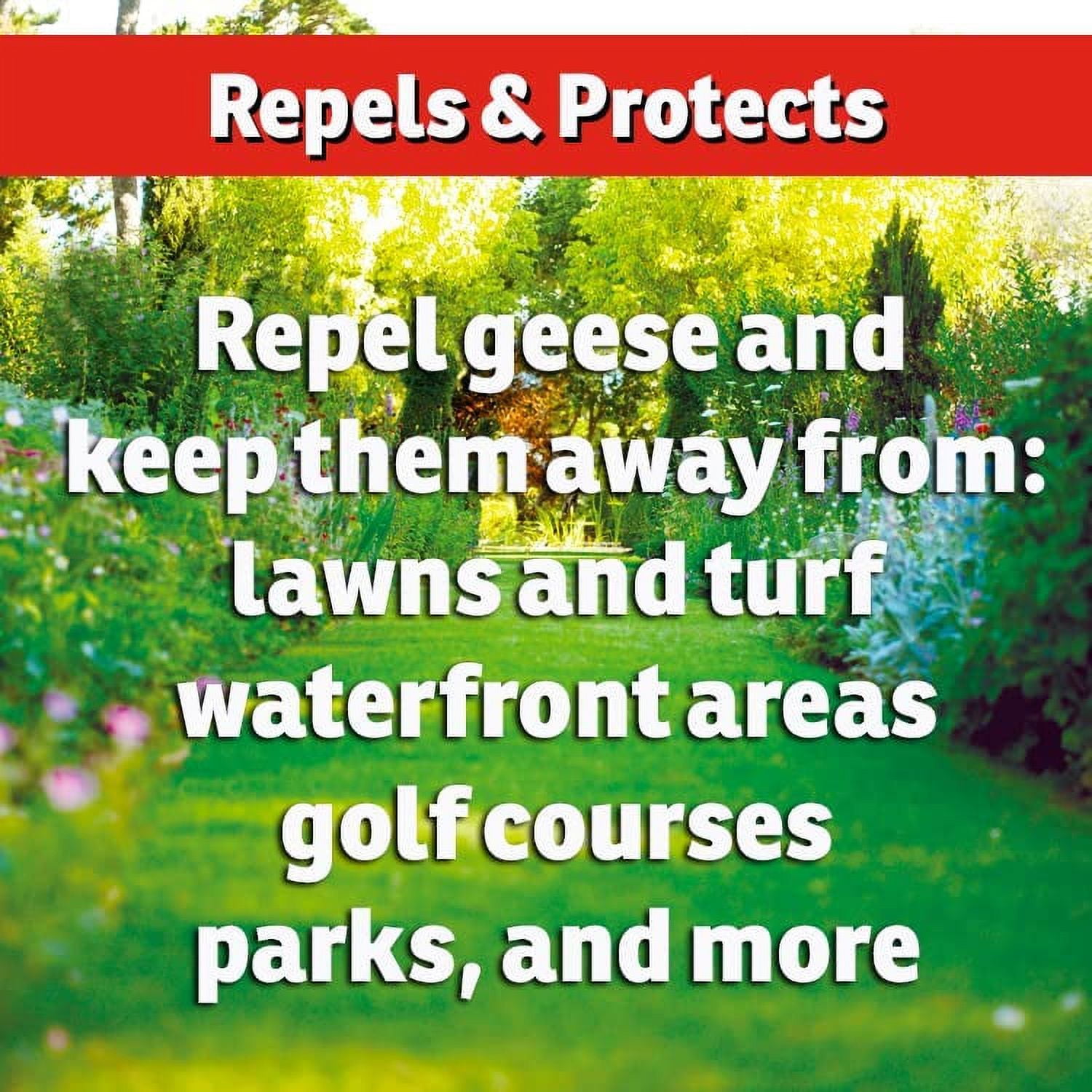 I Must Garden Goose Repellent: 1 Gallon Concentrate