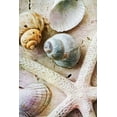 thumbnail image 2 of Aldridge, Ashley 13x18 White Modern Wood Framed Museum Art Print Titled - Seashells on Sand  Starfish on Land I, 2 of 4