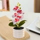 thumbnail image 4 of Orquídea Phalaenopsis Artificial, Decoración de escritorio de oficina boda, rosa blanco con puntos rojos, 4 of 6