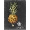 thumbnail image 3 of Brookshaw, George 12x14 Black Modern Framed Museum Art Print Titled - Royal Brookshaw Pineapple II, 3 of 5