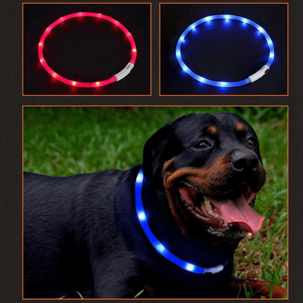 Large Dogs Bseen LED Dog Collar- USB Rechargeable Pet Collar- Silicone Cuttable Light Up Dog Collar- for Small Pink II-USB Medium