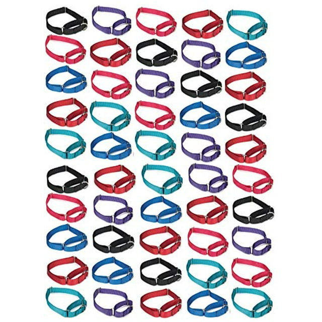 MPP 50 Martingale Dog Collar Bulk Packs Shelter Rescue Vet Assorted Colors Pick Size (Small - 10 to 16 inch)
