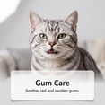 thumbnail image 5 of Cat Breath Freshener Oral Spray 60ml, Gentle Dental Care for Kittens & Adult Cats, Natural Bad Breath Eliminator & Plaque Control, Mild No-Rinse Formula, Easy Daily Oral Hygiene Care, 5 of 8