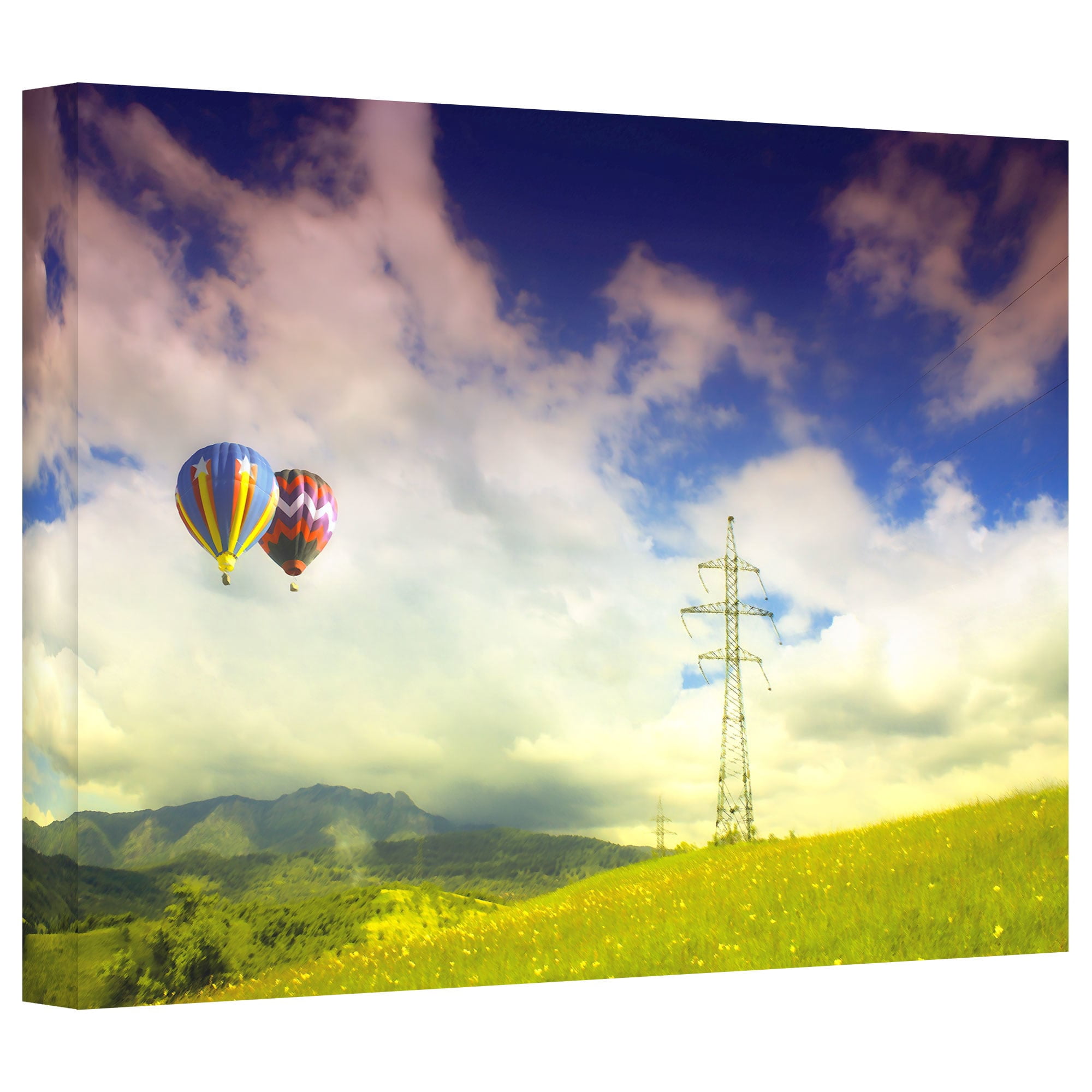 ArtWall Dragos Dumitrascu "Duo Magic Painted" Gallery-wrapped Canvas Art
