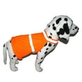 thumbnail image 1 of Chaleco reflectante de noche para 2 mascotas, chaleco transpirable de verano para mascotas, ropa fluorescente para perros 2185, 1 of 6