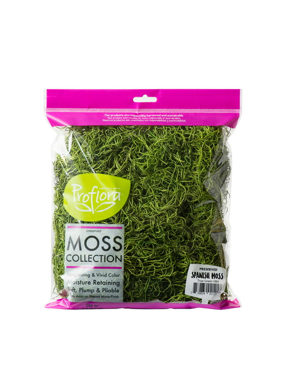 ProFlora Preserved Spanish Moss,  True Green, 150 Cu in '12.75"', and '8.75"