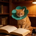 thumbnail image 3 of Yammee Set Of 4 Colorful Cats Cone Collar Protective Neckwear Comfortable Safe Adjustable Elizabethan Collar For Pet Recovery, 3 of 9