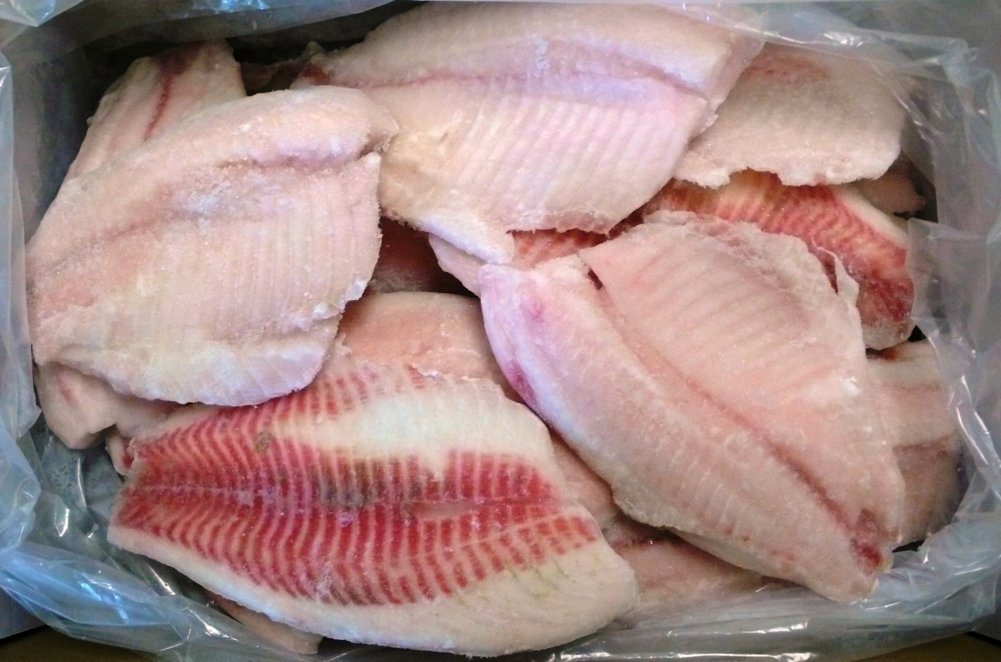 Frozen Seafood Individual Quick Frozen Tilapia, 10 Pound 1 each